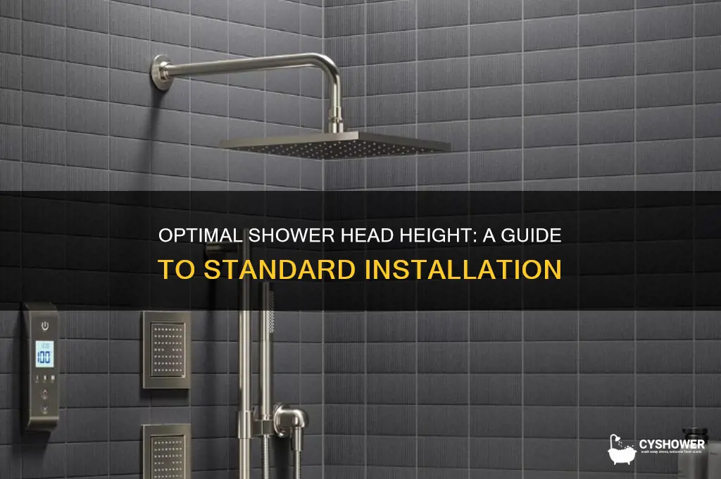 what is the standard shower head height