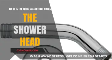 Understanding the Shower Arm: What Holds Your Shower Head in Place