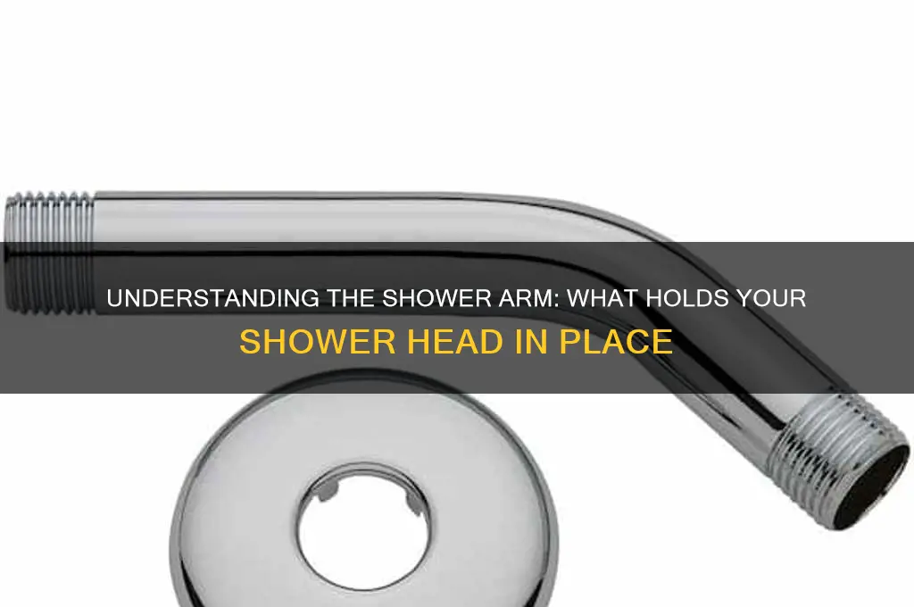 what is the thing called that holds the shower head