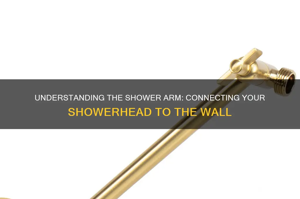 what is the thing called that moves shower to head