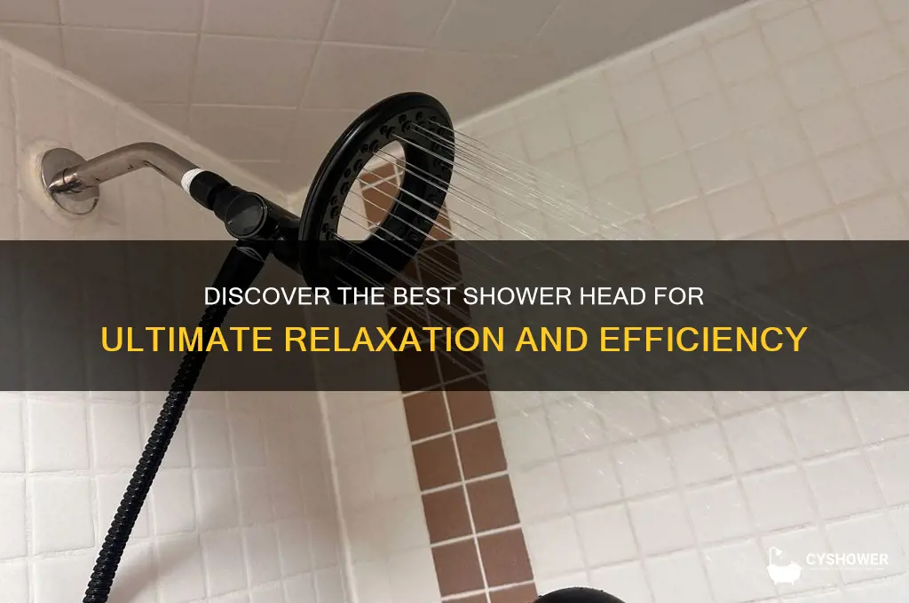 what is the top rated shower head