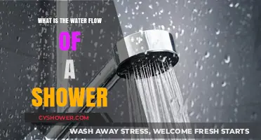 Understanding Shower Water Flow: Rates, Efficiency, and Conservation Tips