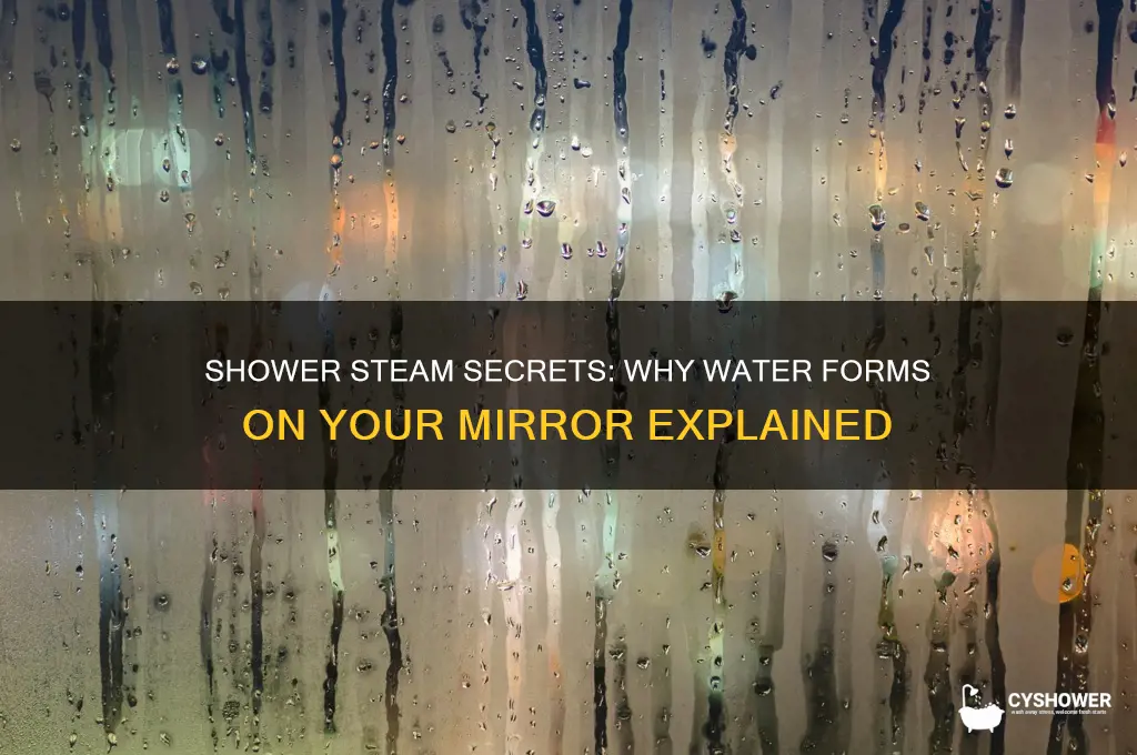 what is the water on the mirror after a shower
