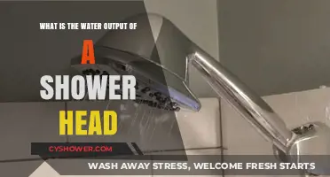 Understanding Shower Head Water Output: Efficiency, Flow Rate, and Conservation