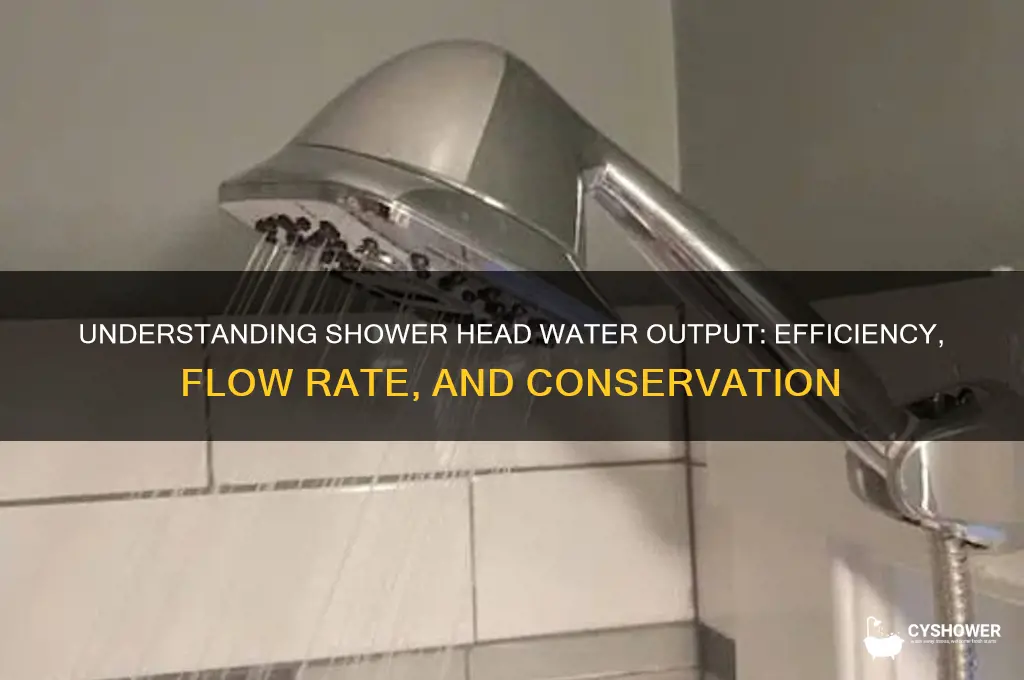 what is the water output of a shower head