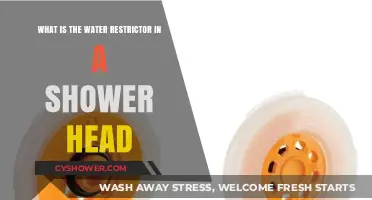 Understanding the Water Restrictor in Your Shower Head: A Guide