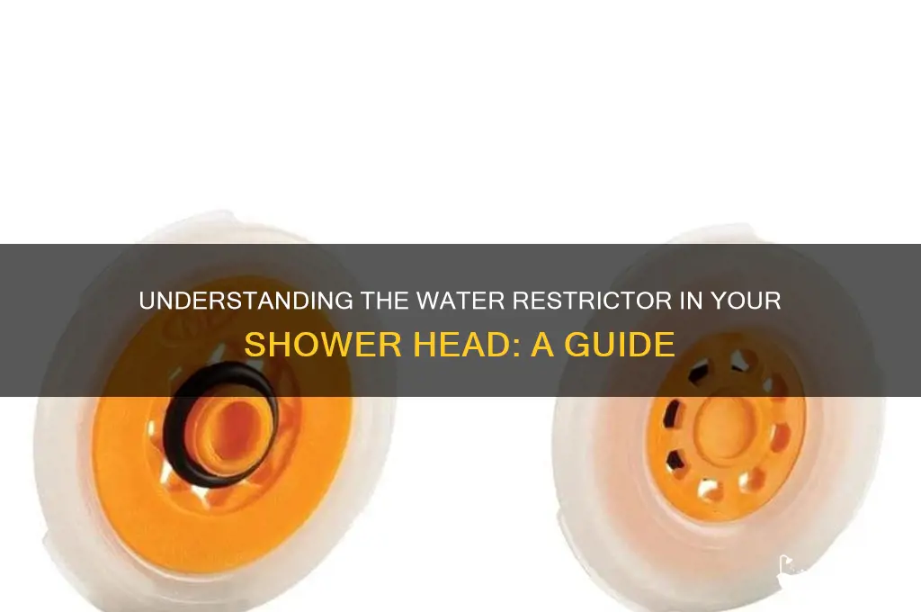 what is the water restrictor in a shower head
