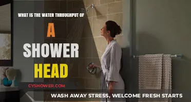 Understanding Shower Head Water Throughput: Efficiency and Flow Rate Explained