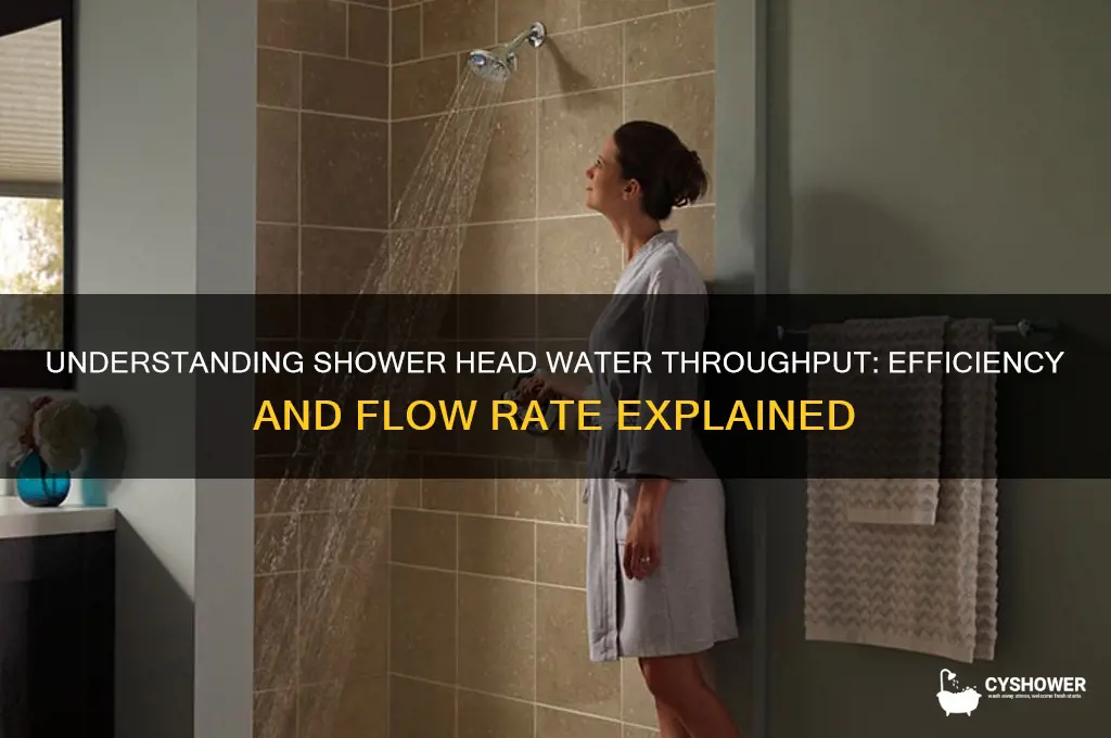 what is the water throughput of a shower head