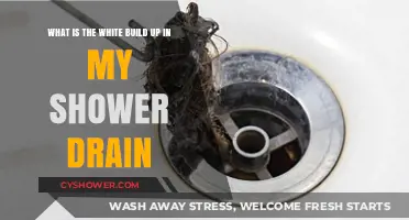 Understanding the White Buildup in Your Shower Drain: Causes and Solutions