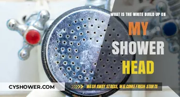 Understanding the White Buildup on Your Shower Head: Causes and Solutions