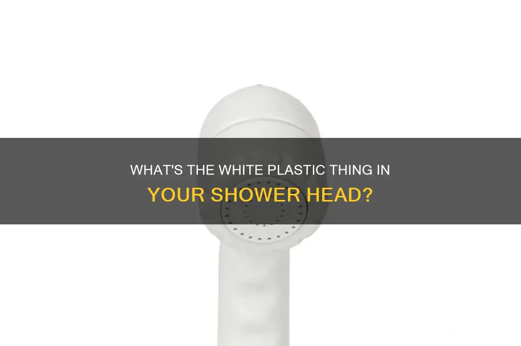 what is the white plastic thing in a shower head