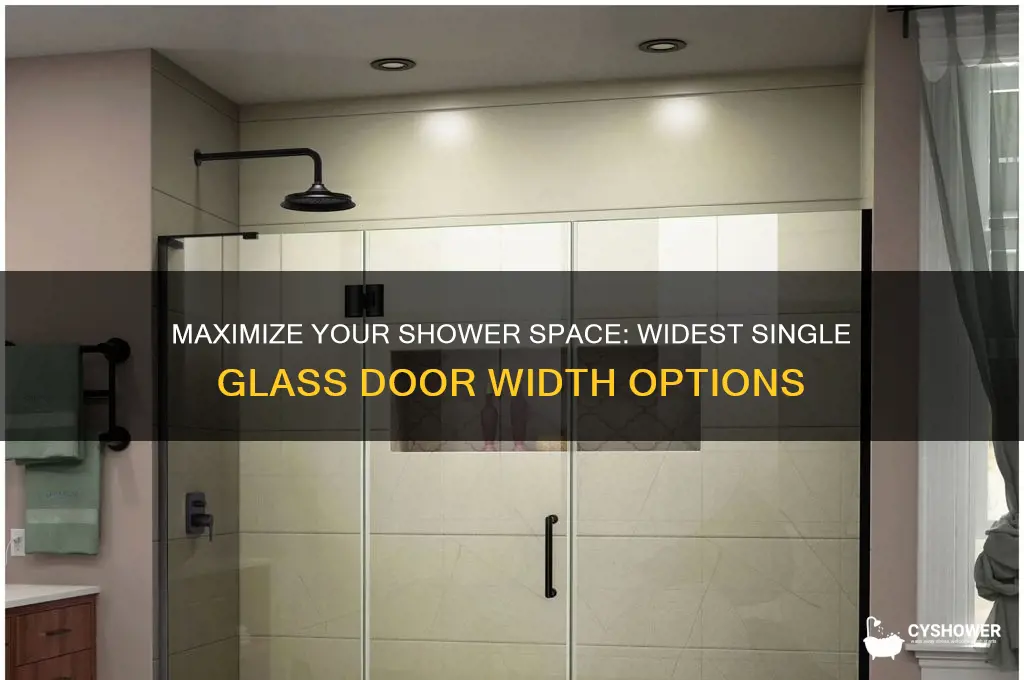 what is the widest single glass shower door width available