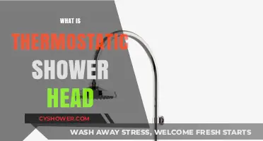 Understanding Thermostatic Shower Heads: Benefits, Functionality, and Installation Guide