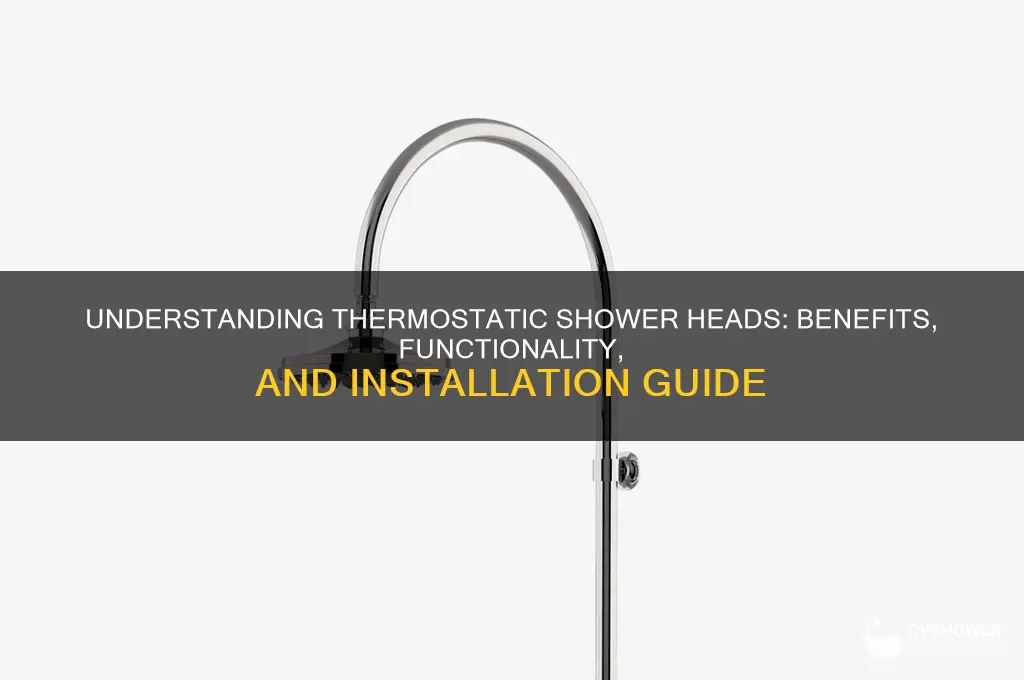 what is thermostatic shower head