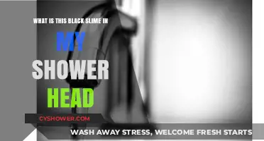 Black Slime in Shower Head: Causes, Risks, and Removal Tips