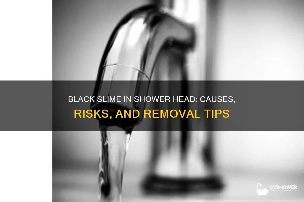 what is this black slime in my shower head