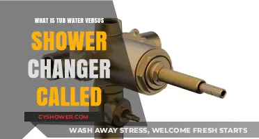 Tub Water vs. Shower Changer: Understanding the Bathroom Fixture Name