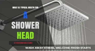 Standard Shower Head Height: What’s Ideal for Comfort and Functionality?