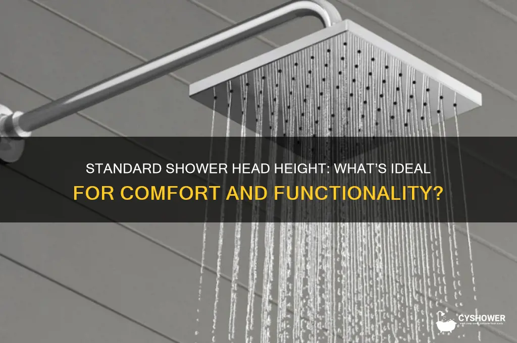 what is typical hiegth for a shower head