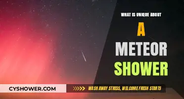 Celestial Spectacle: Unveiling the Unique Magic of Meteor Showers