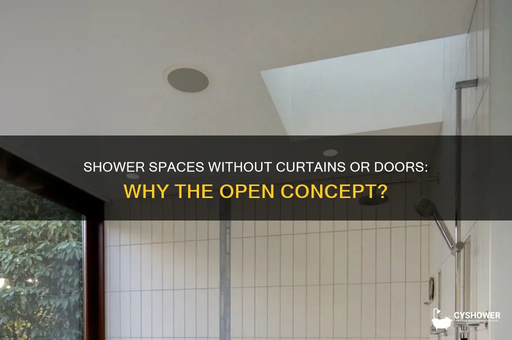 what is up with shower spaces without curtains or doors