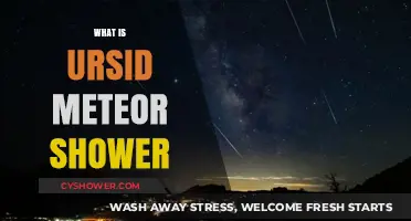 Understanding the Ursid Meteor Shower: A Celestial December Delight
