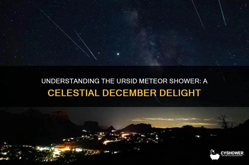 what is ursid meteor shower