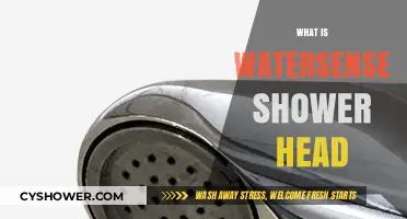 Understanding WaterSense Shower Heads: Eco-Friendly, Efficient, and Cost-Saving Solutions
