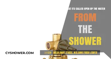 Understanding the Shower Valve: How to Open Water Flow Easily