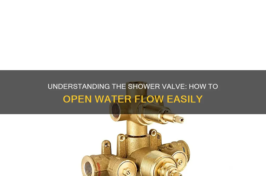 what its called open up the water from the shower