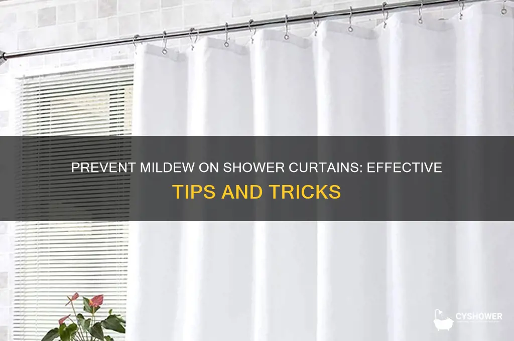 what keep mildew off of shower curtain