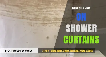 Effective Ways to Eliminate Mold on Shower Curtains Permanently
