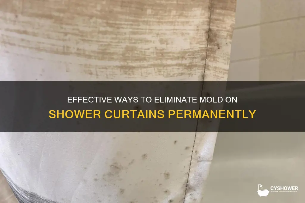 what kills mold on shower curtains