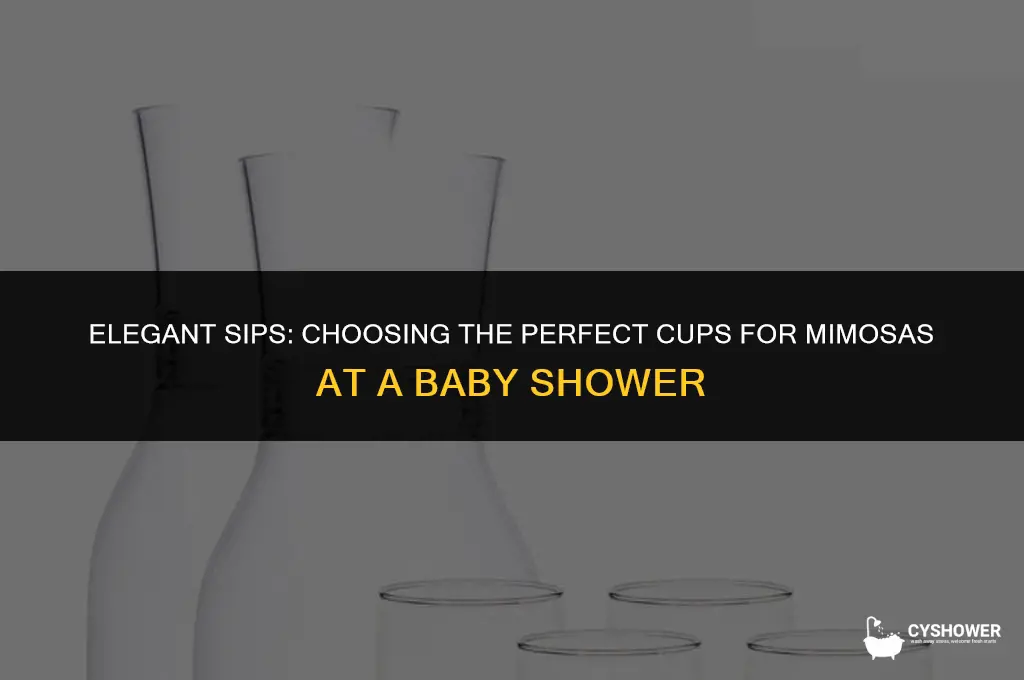 what kind of cups for mimosas baby shower