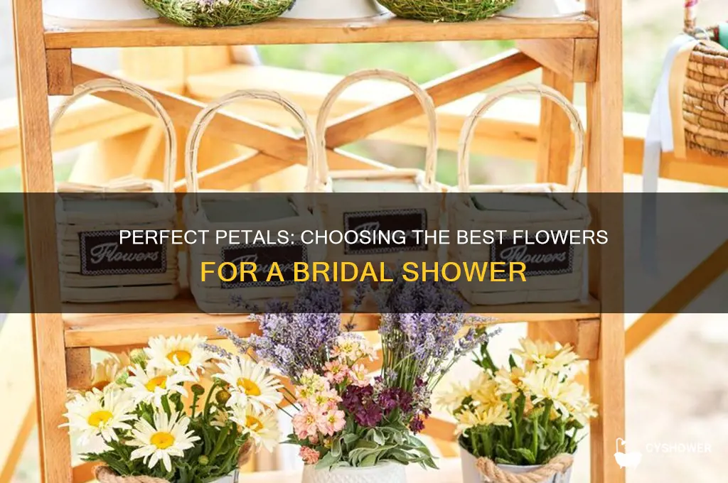 what kind of flowers to bring to a bridal shower