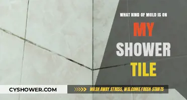 Identifying Common Shower Tile Mold Types and Effective Removal Tips