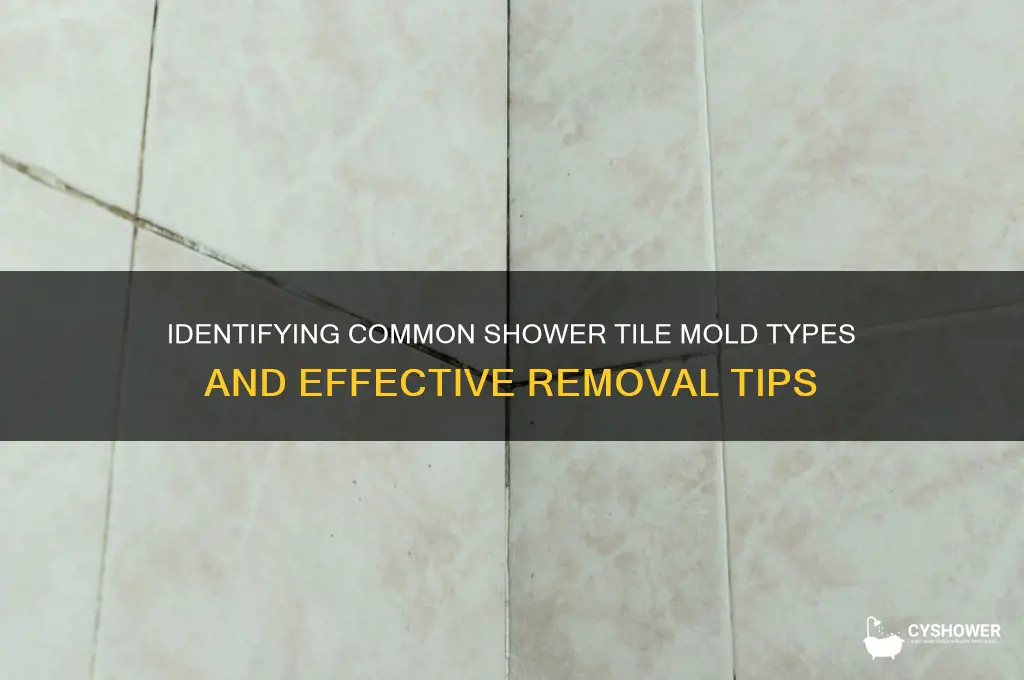 what kind of mold is on my shower tile