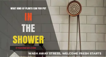 Shower-Friendly Plants: Greenery That Thrives in Your Bathroom Oasis
