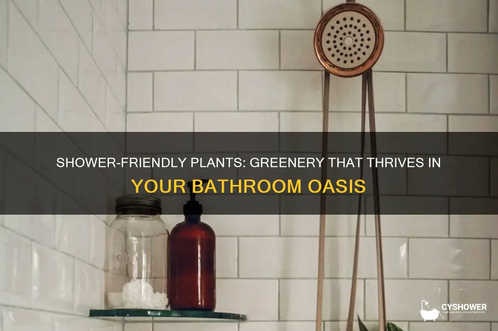 what kind of plants can you put in the shower