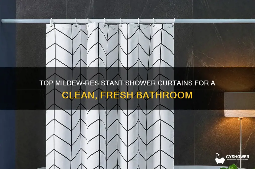what kind of shower curtain best to fight mildew