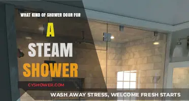 Best Shower Door Options for Your Steam Shower Enclosure