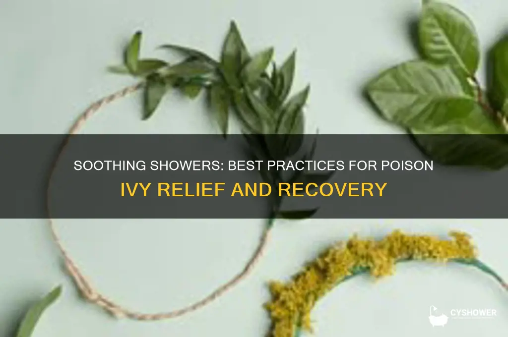 what kind of shower to take with poison ivy
