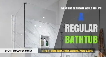 Upgrade Your Bath: Walk-In Showers Replacing Traditional Bathtubs