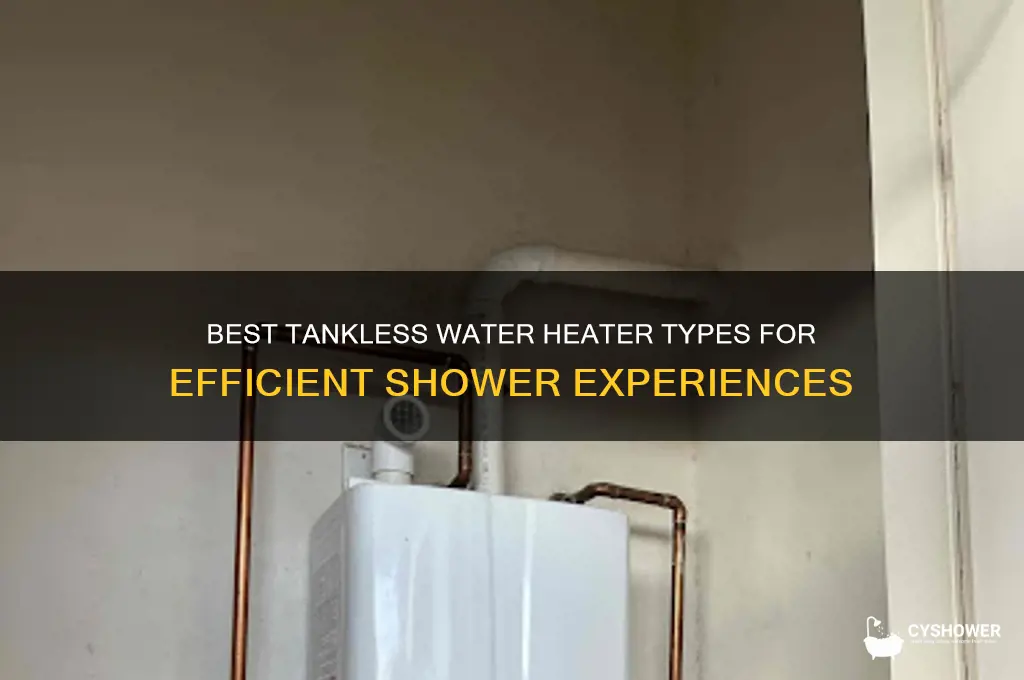 what kind of tankless water heater for a shower