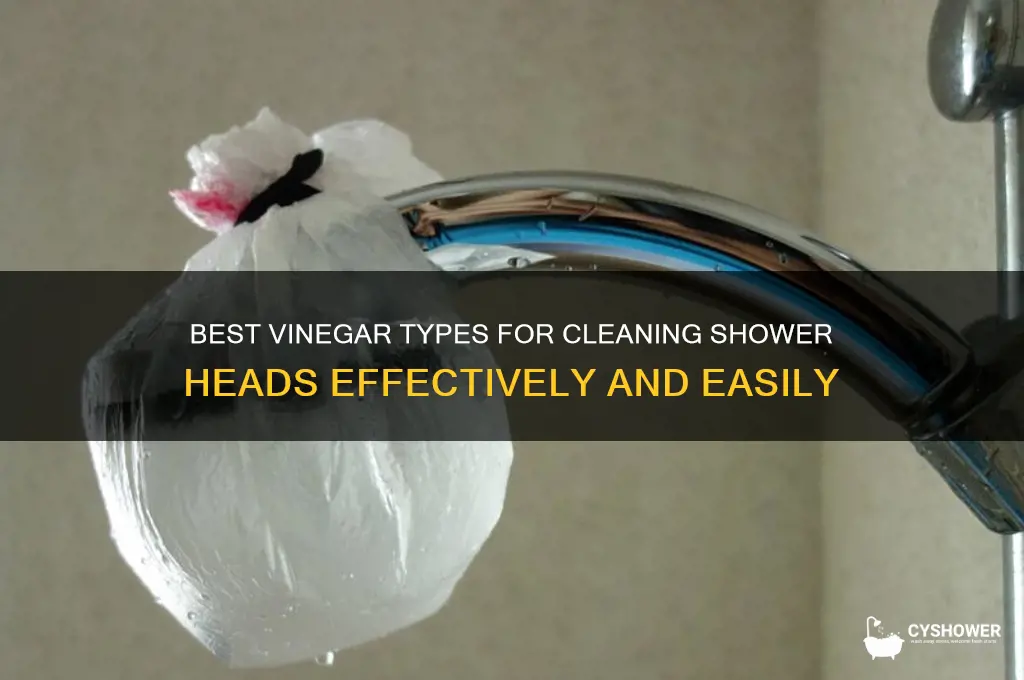 what kind of vinegar cleans shower heads