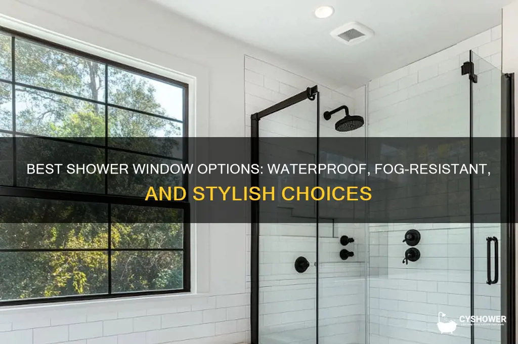 what kind of windows can be put in a shower