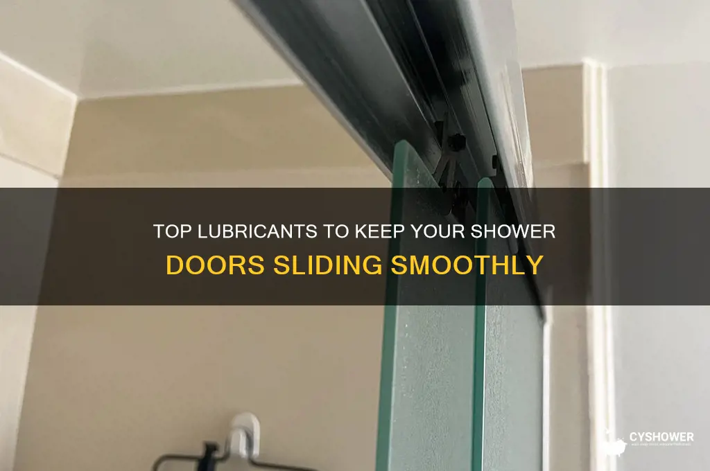 what lubricant is best for shower doors
