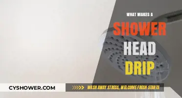 Why Your Shower Head Drips: Common Causes and Quick Fixes