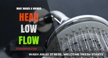 Understanding Low-Flow Shower Heads: Efficiency, Design, and Water Conservation